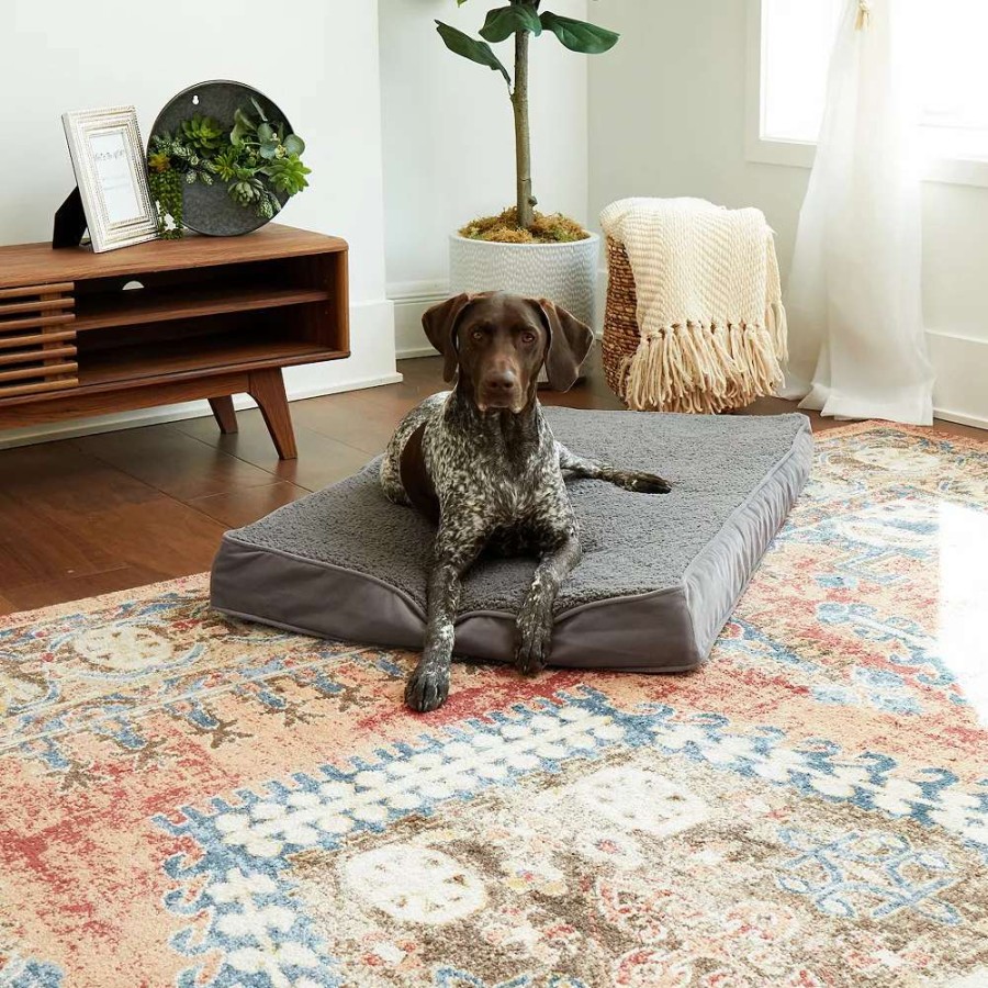 Dog * | Happy Hounds Oscar Orthopedic Dog Bed