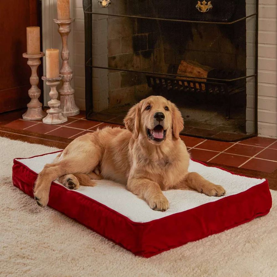 Dog * | Happy Hounds Oscar Orthopedic Dog Bed 36" X 24"